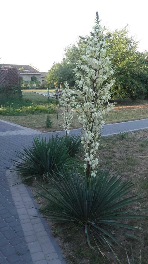 Apartament Wolin Nad Woda Kolo Miedzyzdrojow Exteriér fotografie
